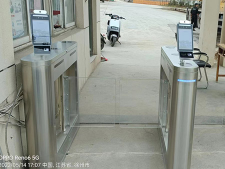 桥式摆闸